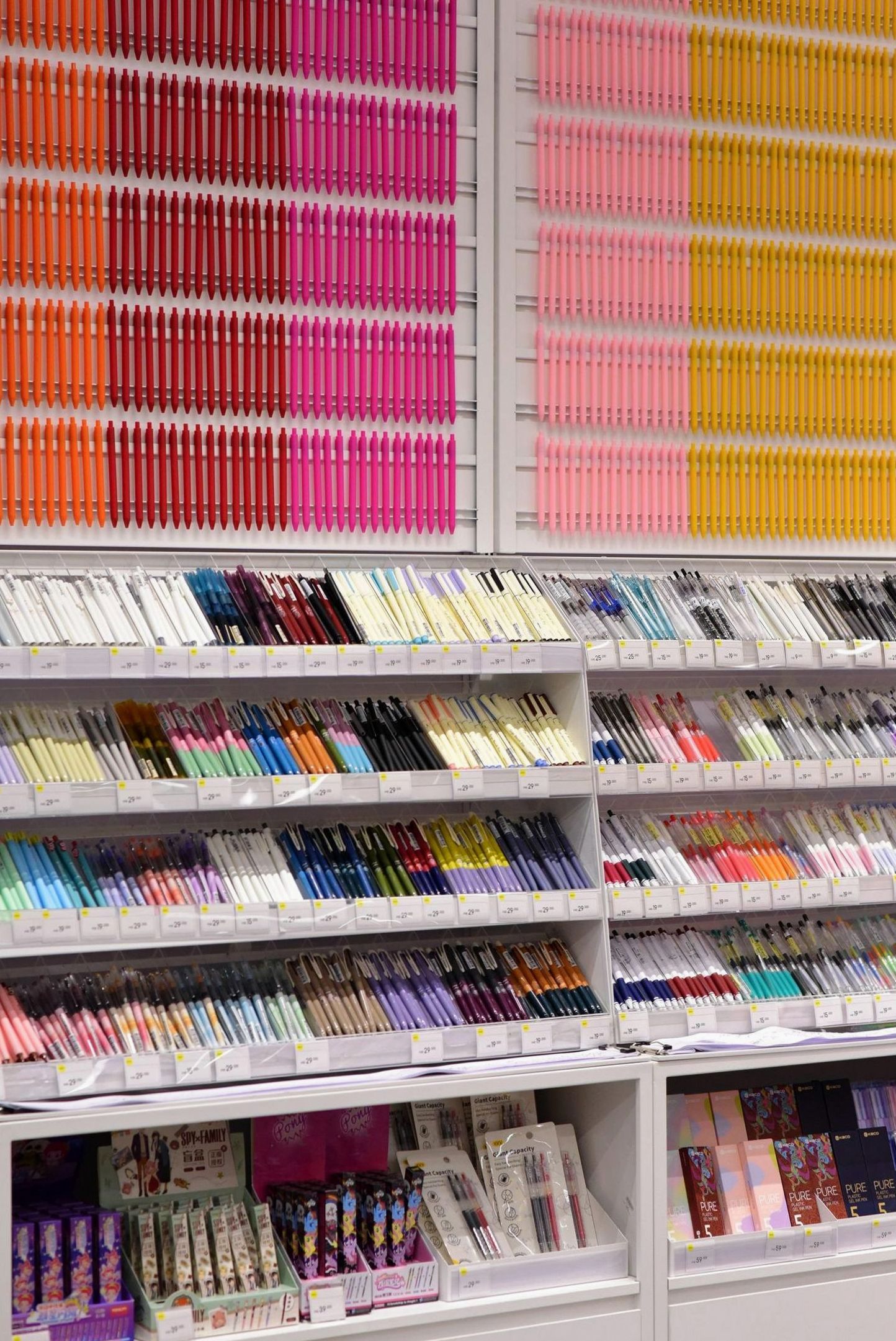 Interno della bottega Opportunitarotta